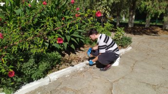 Субботник – каждую субботу!